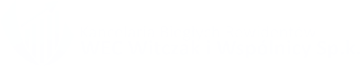 Logo Kancelarii Biegłych Rewidentów WEC Witczak i Wspólnicy Sp. k.